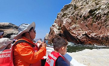 Paseo en bote a las Islas Ballestas, Paracas: tour marino en la costa del Peru